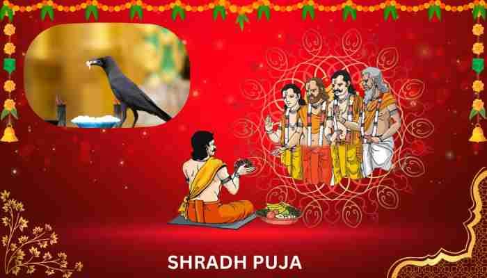 2-1-qz0ixif0b79snxedtg3ppyv1pahvg2wf7pjx2v6hsw_11zon